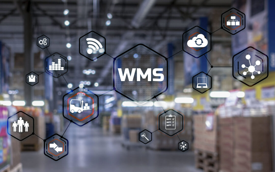 Warehouse Management Systems: The Benefits of Real-Time Data Reporting